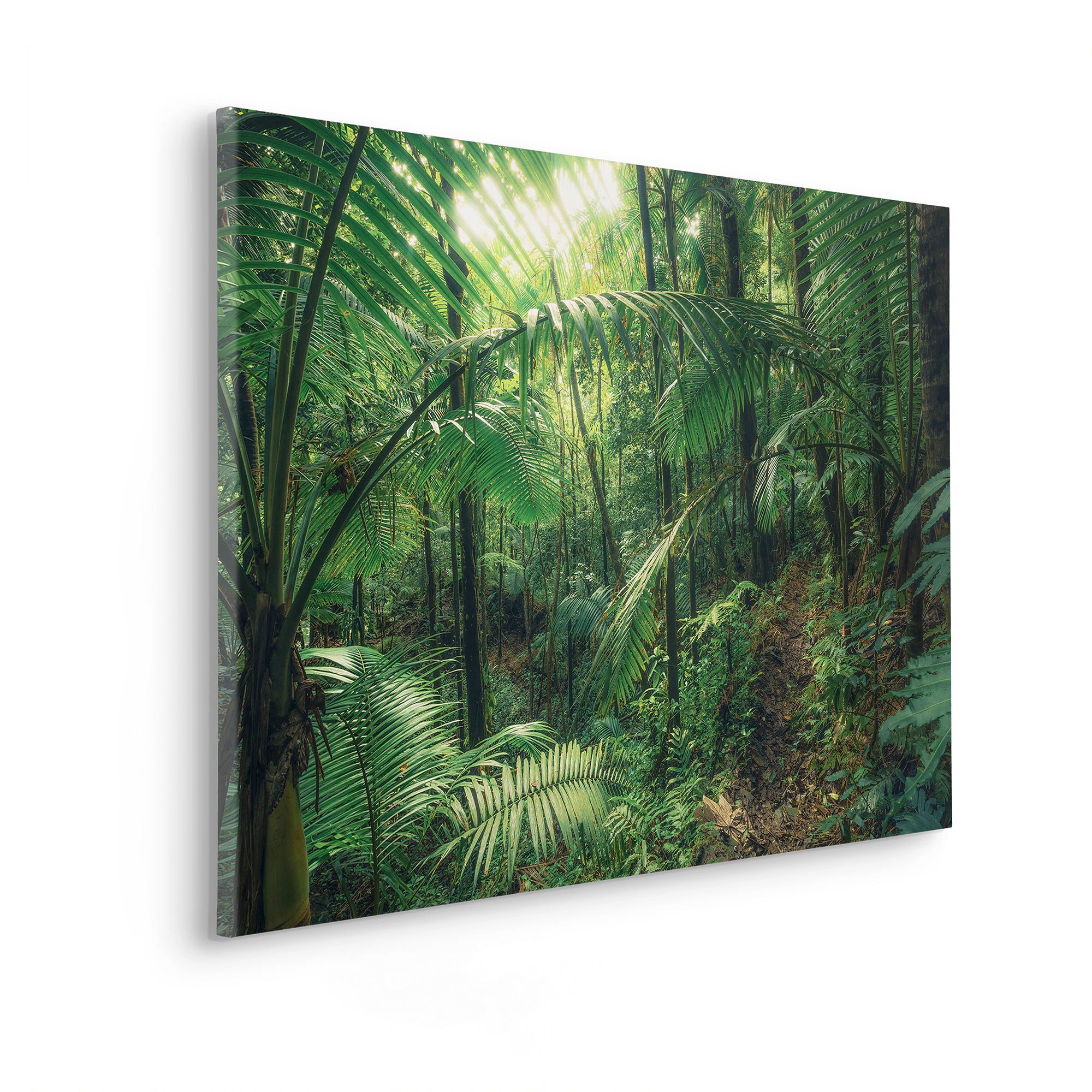 Komar Leinwandbild »Keilrahmenbild - Jungleflair - Grösse 90 x 60 cm«, Baum-Blätter-Natur-Berge-Blumen-Foto-Jahreszeiten-Landschaft-Meer-Strand-Palmen, (Packung, 1 St.), Deutsches Qualitätsvlies (155 g/m²)