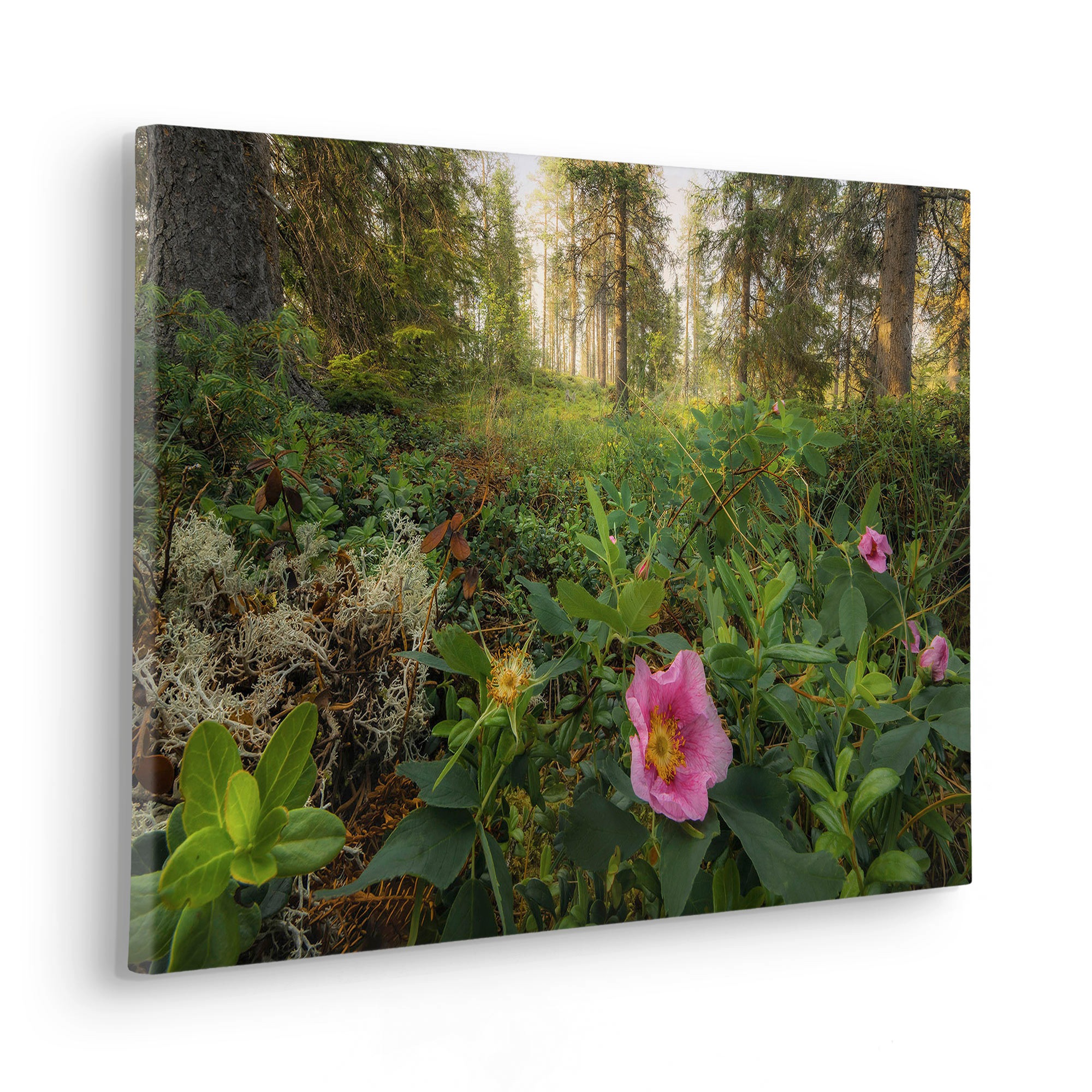 Komar Leinwandbild »Keilrahmenbild - Charming Woods - Grösse 60 x 40 cm«, Baum-Blätter-Natur-Berge-Blumen-Foto-Jahreszeiten-Landschaft-Meer-Strand-Palmen, (Packung, 1 St.), Deutsches Qualitätsvlies (155 g/m²)