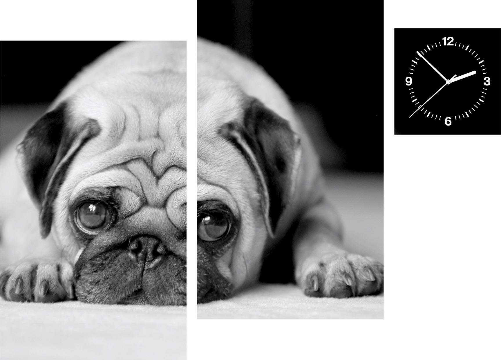 Conni Oberkircher´s Bild »Lovable - Mops«, Hunde, (Set, (Set 3), mit dekorativer Uhr, Haustier, Tierfreund