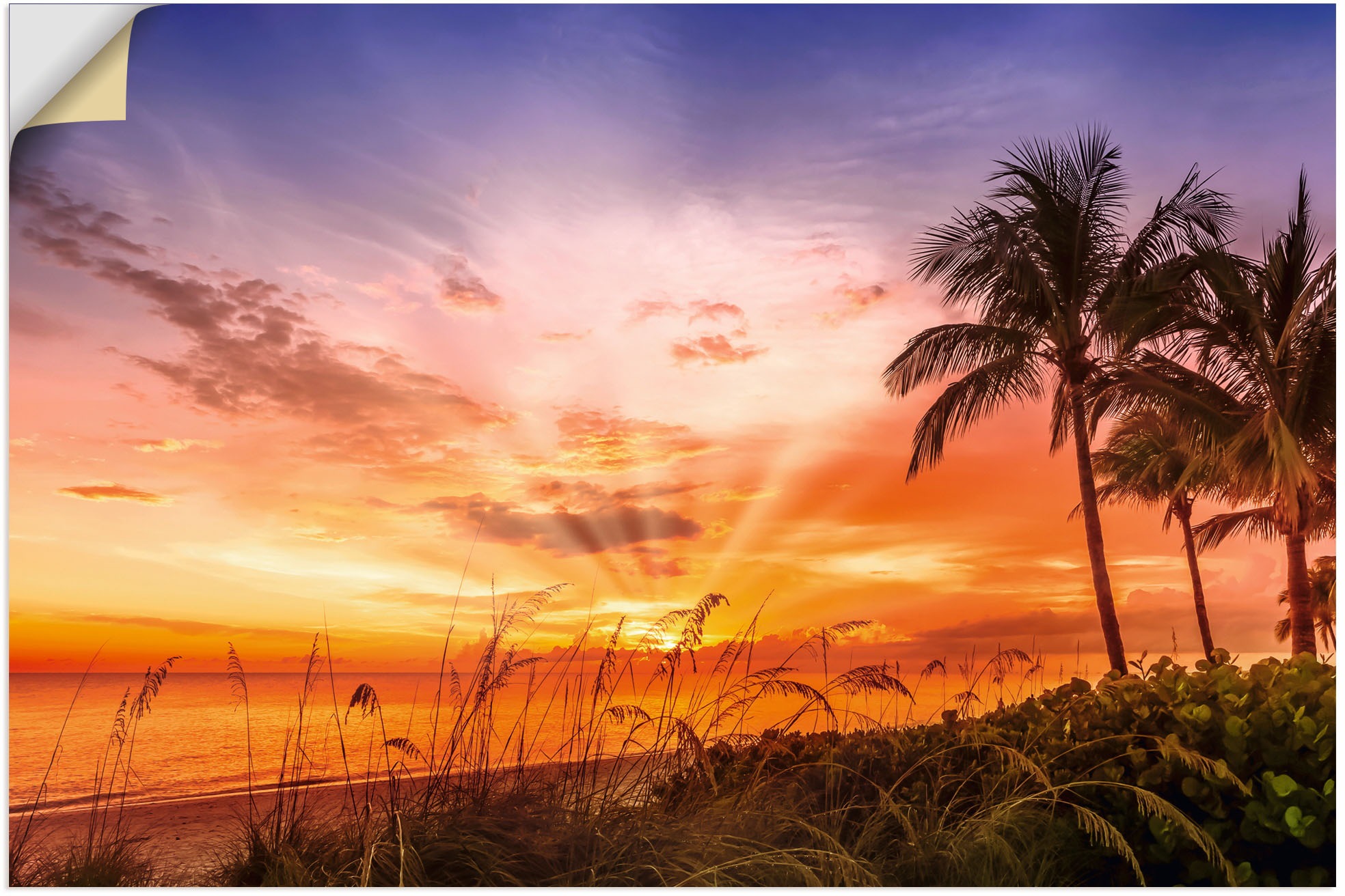 • Artland Wandbild »BONITA BEACH Malerischer Sonnenuntergang«, (1 St.), in vielen Grössen & Produktarten - Alubild/-Outdoorbild für den Aussenbereich, Leinwandbild, Poster, Wandaufkleber/Wandtattoo auch für Badezimmer geeignet