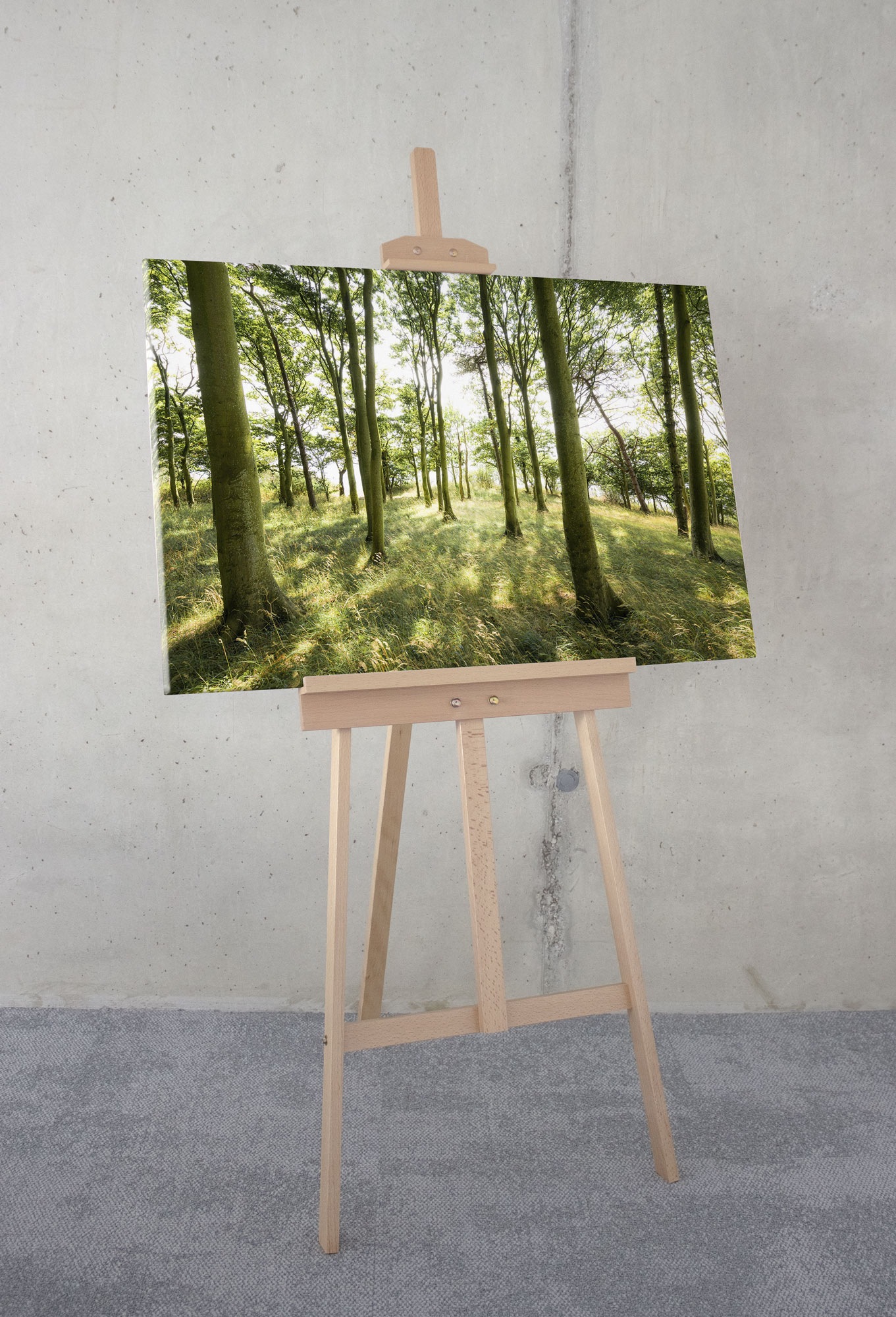 Komar Leinwandbild »Keilrahmenbild - Dänische Buchen - Grösse 90 x 60 cm«, Baum-Blätter-Natur-Berge-Blumen-Foto-Jahreszeiten-Landschaft-Meer-Strand-Palmen, (Packung, 1 St.), Deutsches Qualitätsvlies (155 g/m²)