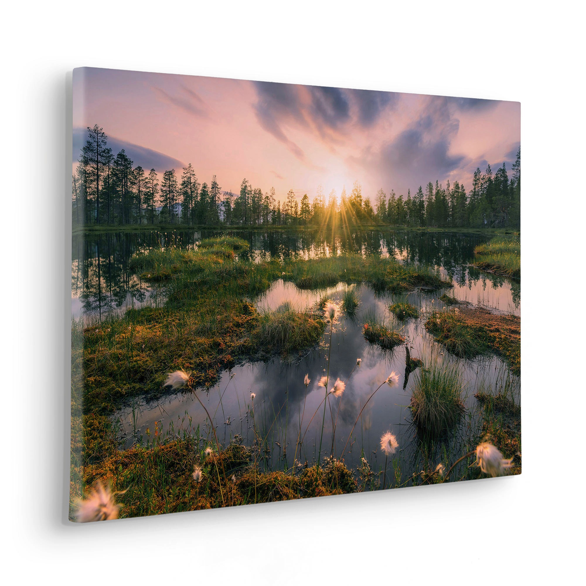Komar Leinwandbild »Keilrahmenbild - Gloomy Swamps - Grösse 60 x 40 cm«, Baum-Blätter-Natur-Berge-Blumen-Foto-Jahreszeiten-Landschaft-Meer-Strand-Palmen, (Packung, 1 St.), Deutsches Qualitätsvlies (155 g/m²)