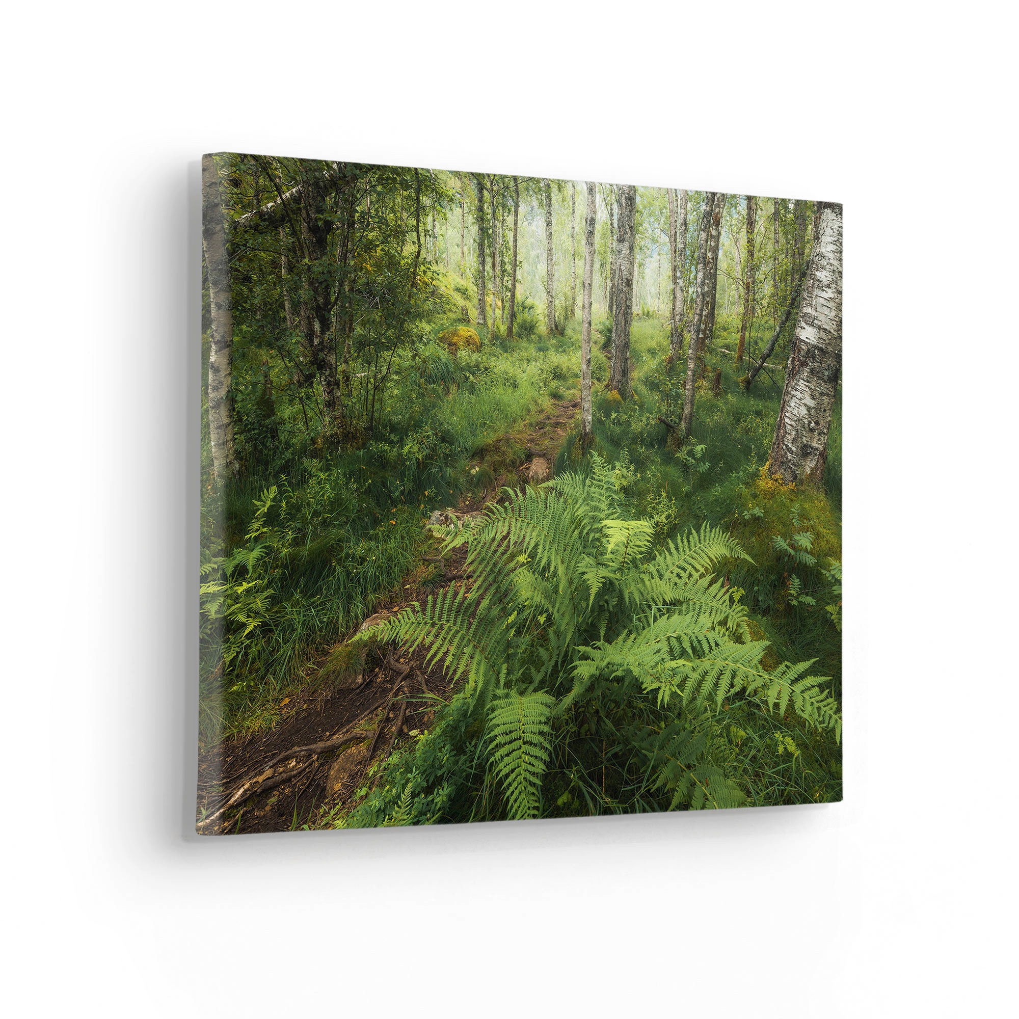 Komar Leinwandbild »Keilrahmenbild - Mystic Birch Grove - Grösse 40 x 30 cm«, Baum-Blätter-Natur-Berge-Blumen-Foto-Jahreszeiten-Landschaft-Meer-Strand-Palmen, (Packung, 1 St.), Deutsches Qualitätsvlies (155 g/m²)