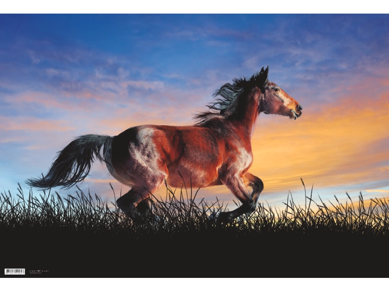 Schreibunterlage SCHOOL pferd Braun