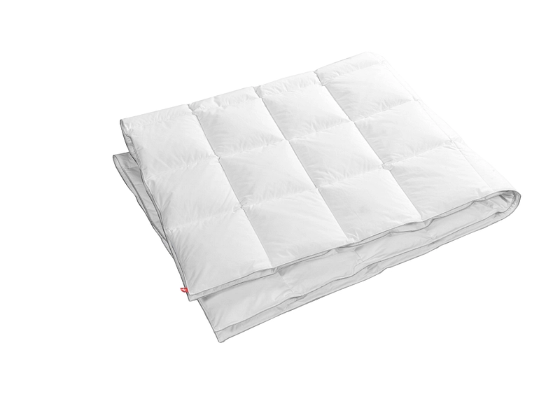 Duvet BILLERBECK EDITION MARGRET 160x210cm gemässigt