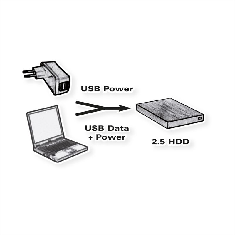 ROLINE USB 2.0 Y-Kabel, 2x Typ A (ST / BU) - Micro B ST, 1m