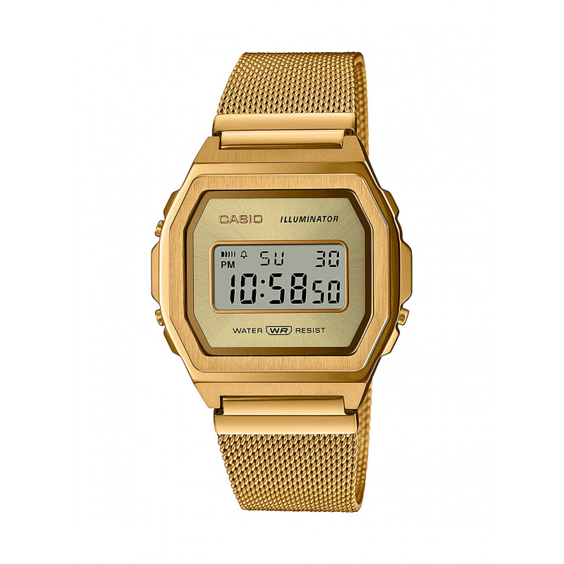 Casio Collection A1000MG-9EF