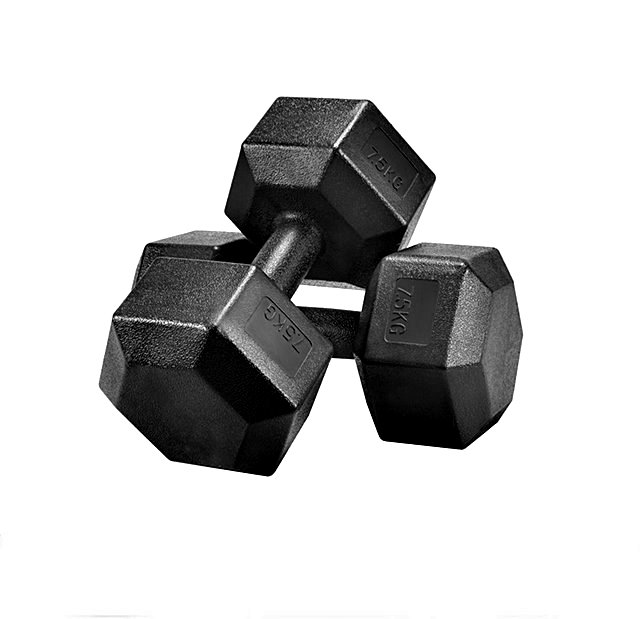 2 x 7.5 kg Hex Hanteln, Profi Kurzhanteln Hexagon Set 15 kg