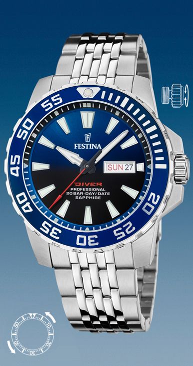 Festina F20661/1 The Originals Herren