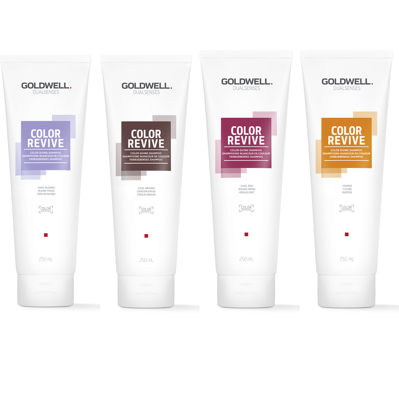 GOLDWELL Dualsenses Color Revive Shampoo