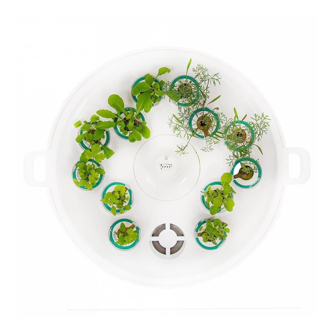 Plantui Anzuchtschale