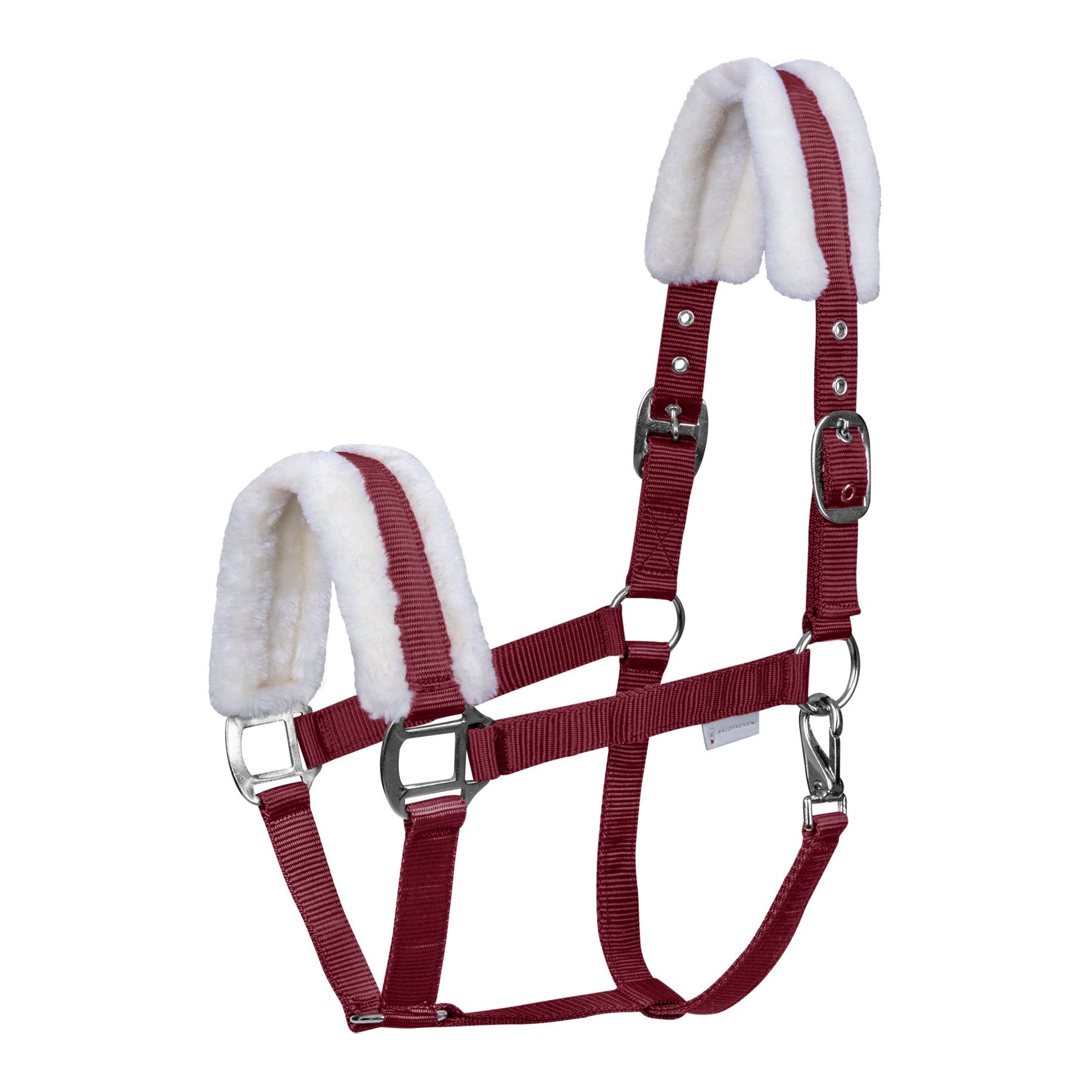 Waldhausen Halfter First - Bordeaux - Grösse: Mini Shetty