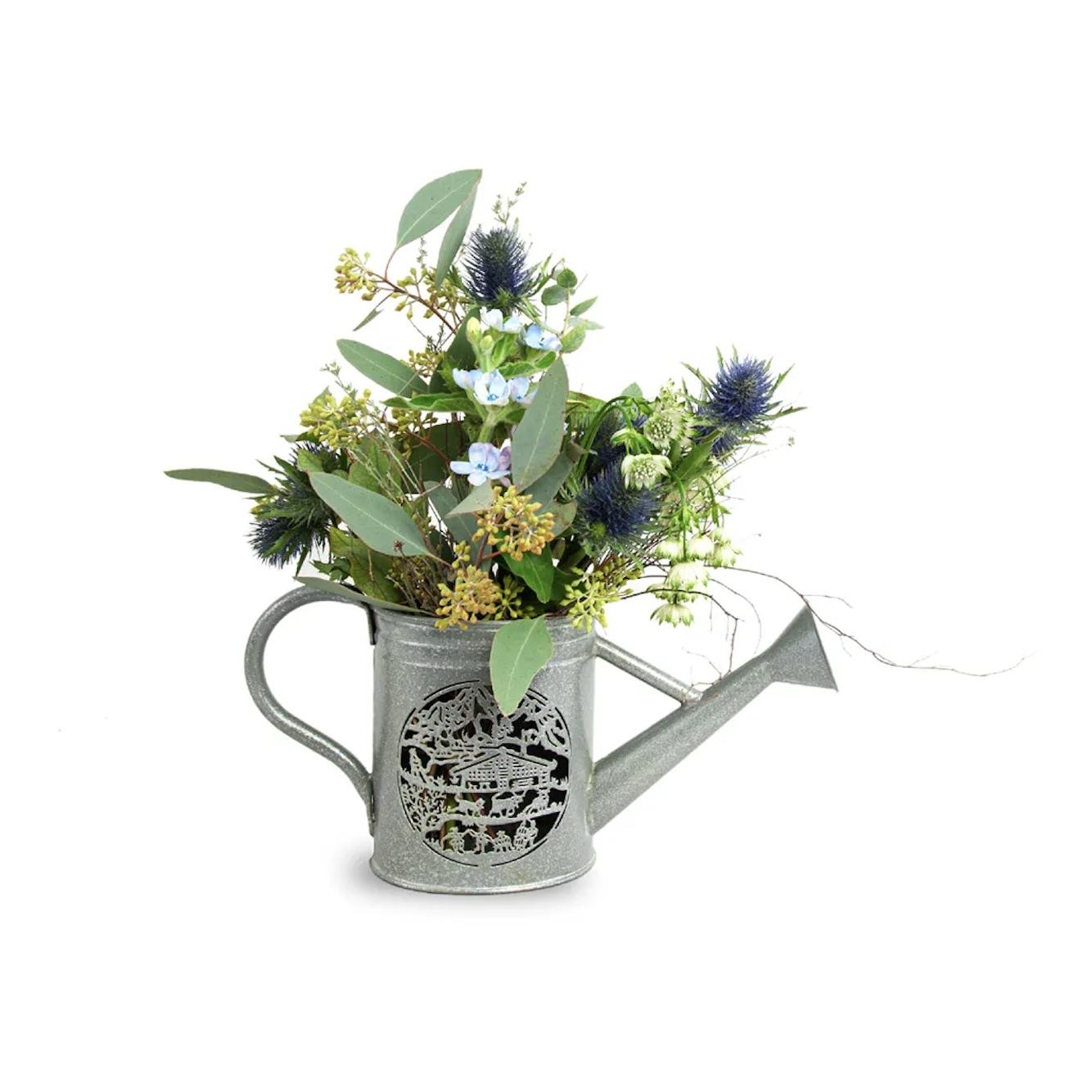 JoyLine Giardina Alpina «Chalet» Mini