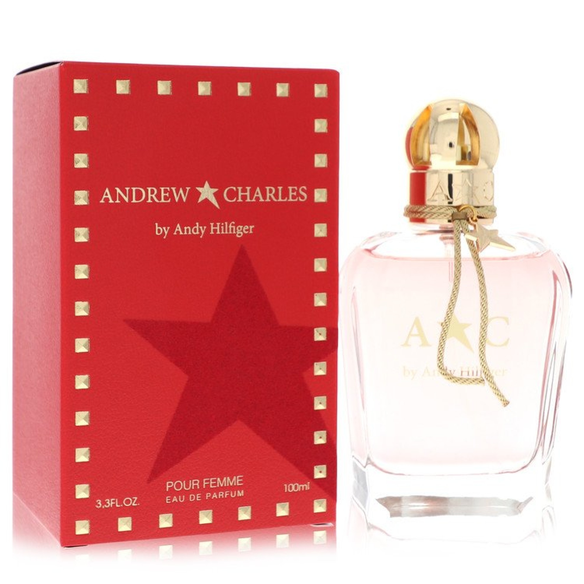 Andy Hilfiger Andrew Charles Eau De Parfum Spray 100 ml