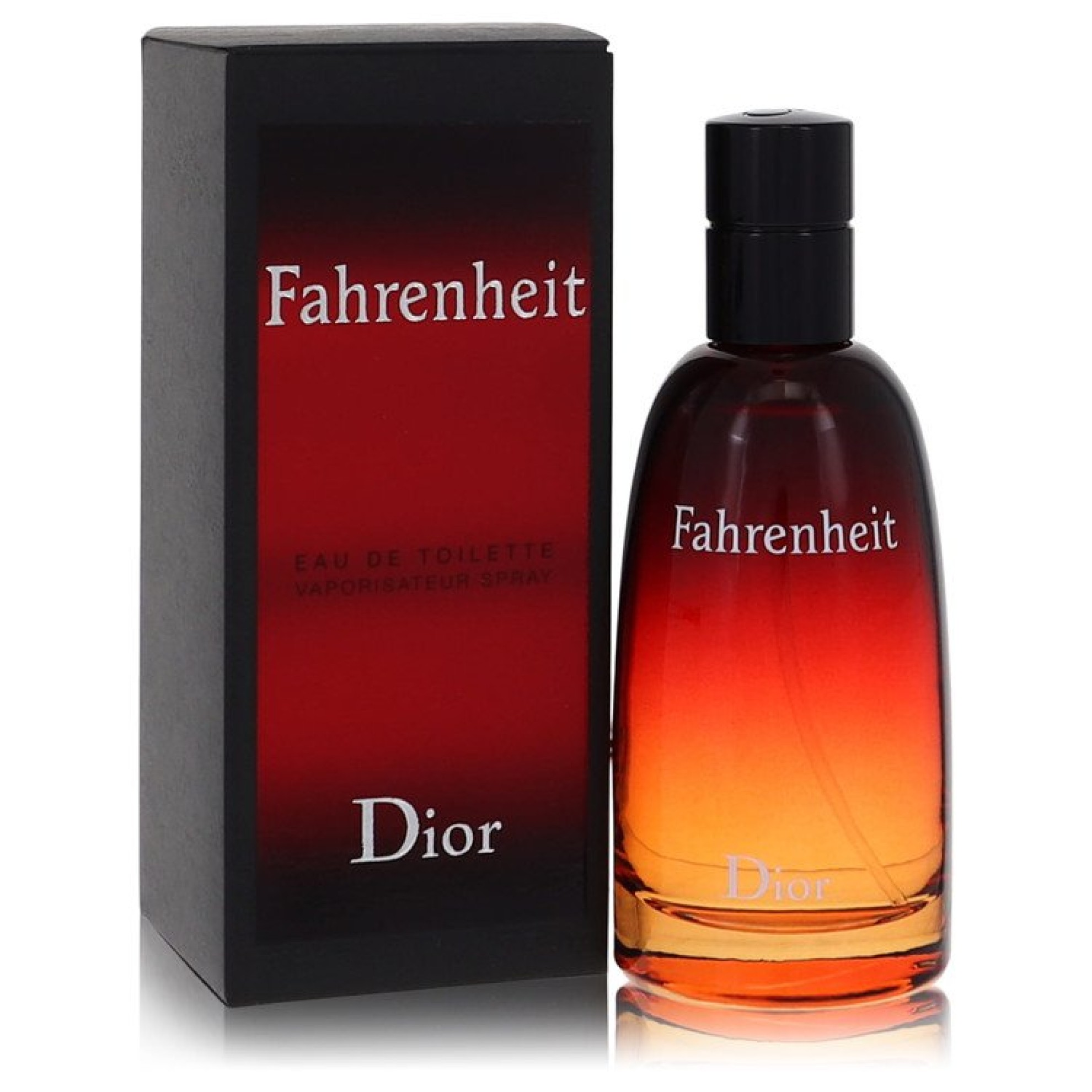 Christian Dior FAHRENHEIT Eau De Toilette Spray 50 ml