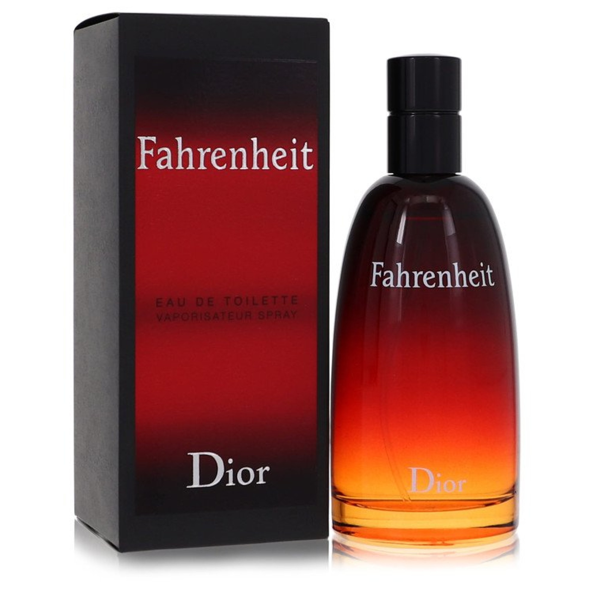 Christian Dior FAHRENHEIT Eau De Toilette Spray 100 ml